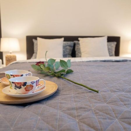 Central Bright Apartment 클루지나포카 외부 사진